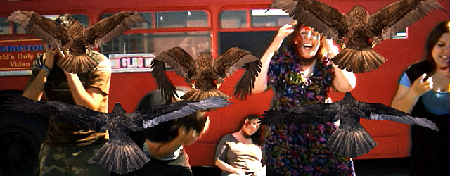 REGARD SUR LA NANAROPHILIE